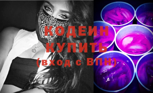 крисы Новозыбков