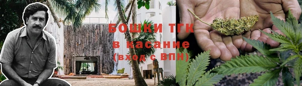 PSILOCYBIN Нея