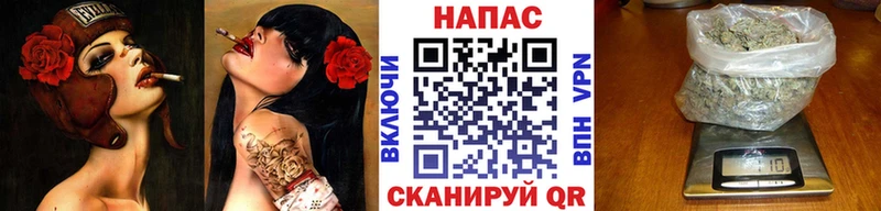 Каннабис OG Kush  как найти закладки  Андреаполь 
